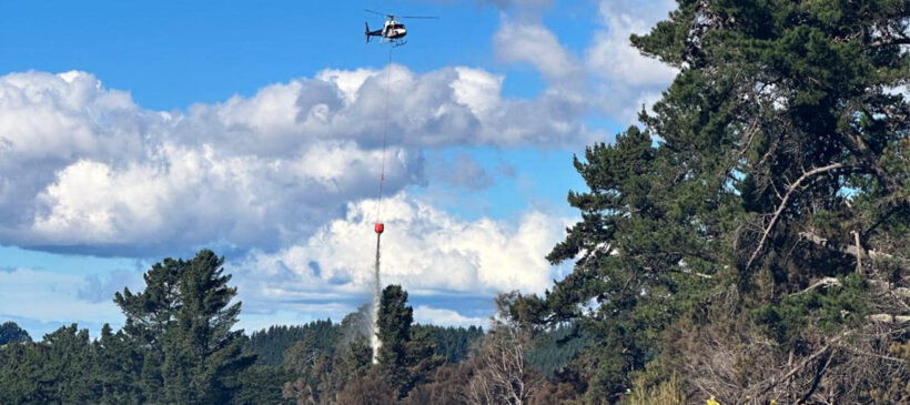 Cloudburst Fire Bucket in Waiwhare